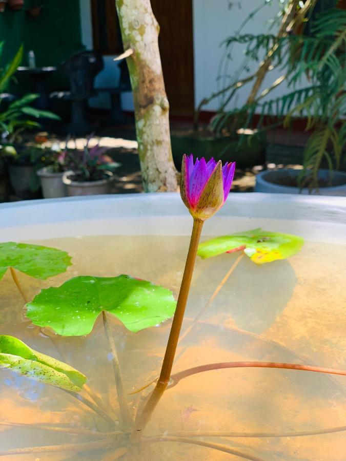 Vinu'S Place Matara Ngoại thất bức ảnh